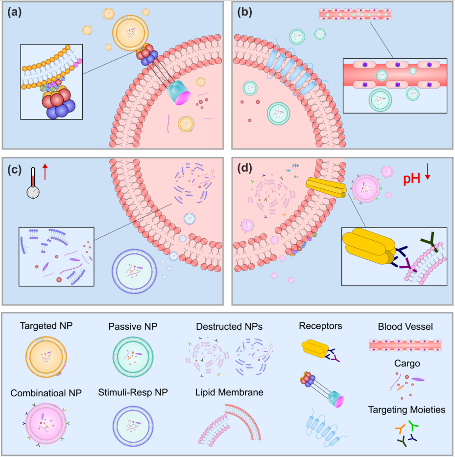 Abstract   Smart Nanoparticles